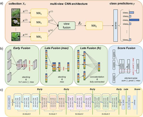 MVCNN fusion strategies