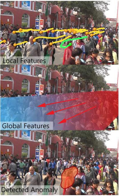 Crowd anomaly features