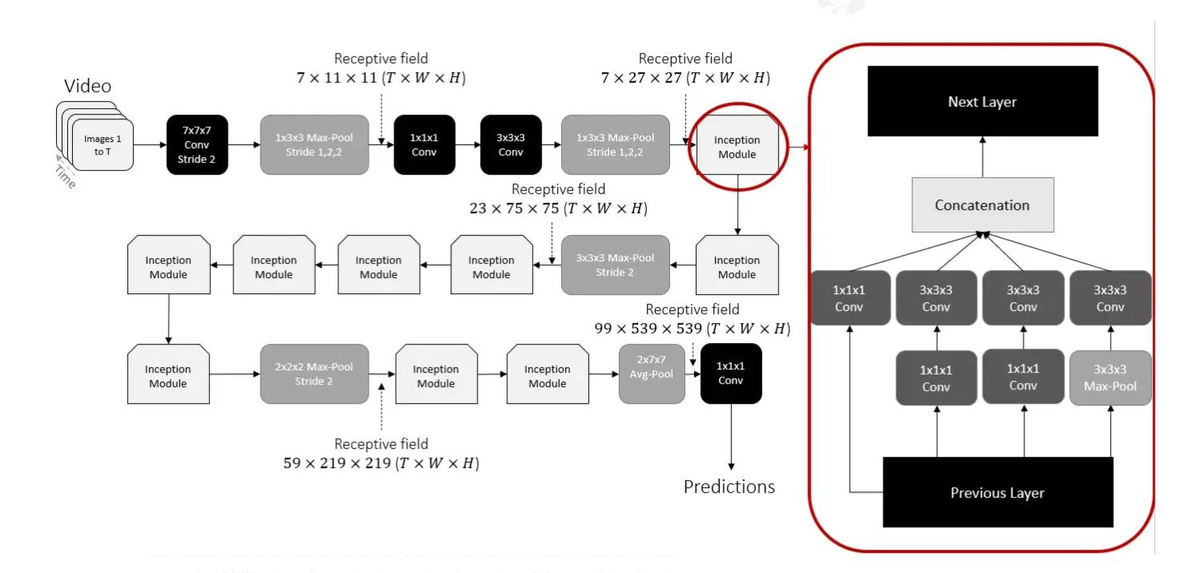 I3D detailed architecture with inception modules
