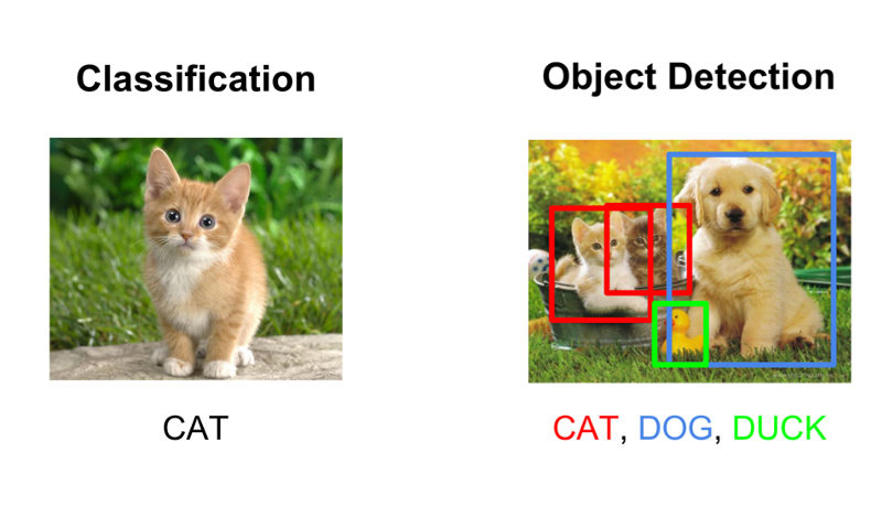 Classification (single label) versus Object Detection (bounding boxes)