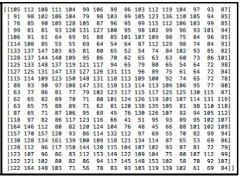 Semantic gap: human sees a cat, computer sees pixel values