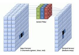 3D filter applied to input tensor
