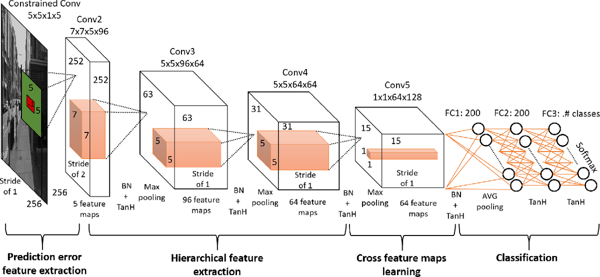CNN architecture with labeled stages