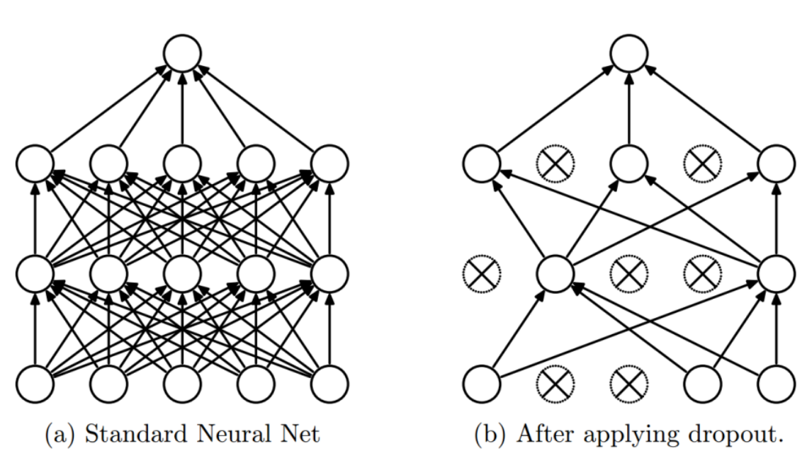 Dropout: standard network vs network after dropout