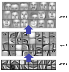 Hierarchical feature learning in CNN layers