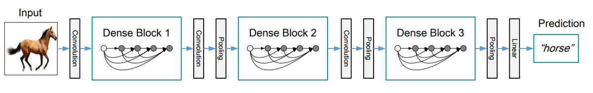 DenseNet full architecture