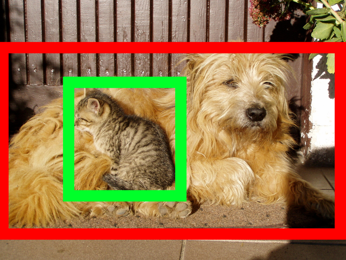 Classification vs. object detection