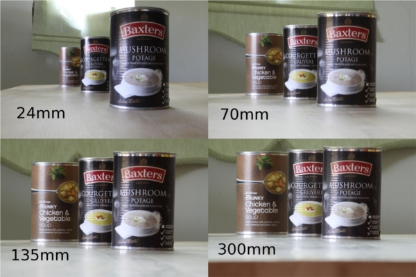 Effect of varying focal length: 24mm, 70mm, 135mm, 300mm